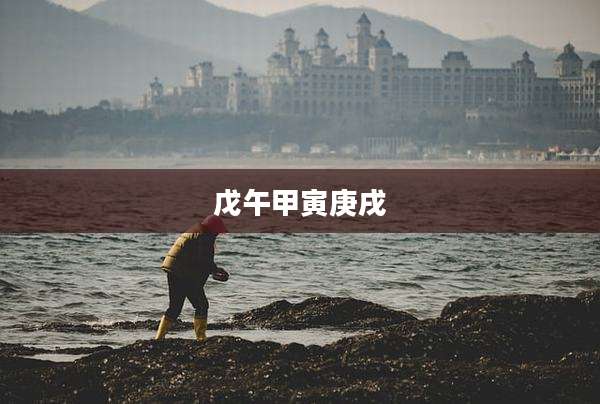 戊午甲寅庚戌