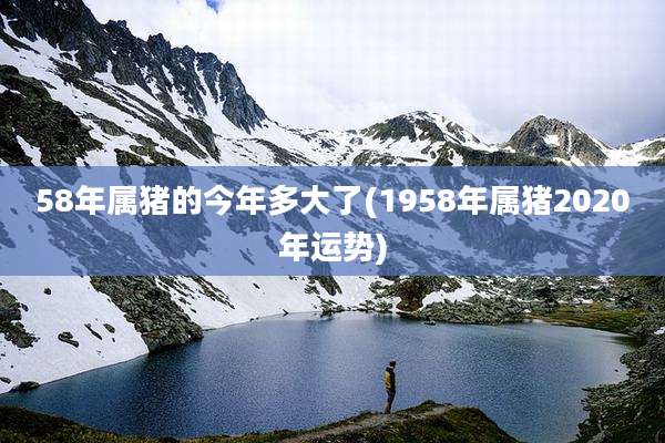 58年属猪的今年多大了(1958年属猪2020年运势)