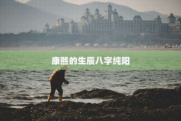 康熙的生辰八字纯阳