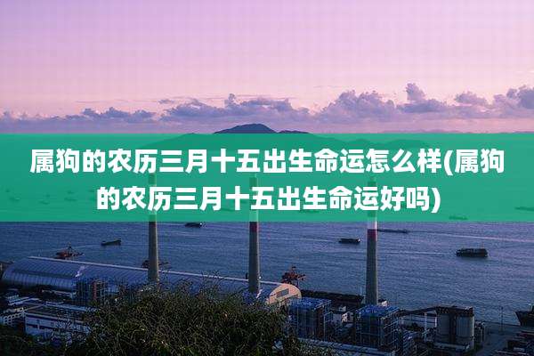 属狗的农历三月十五出生命运怎么样(属狗的农历三月十五出生命运好吗)