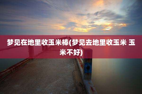 梦见在地里收玉米棒(梦见去地里收玉米 玉米不好)