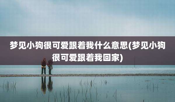 梦见小狗很可爱跟着我什么意思(梦见小狗很可爱跟着我回家)