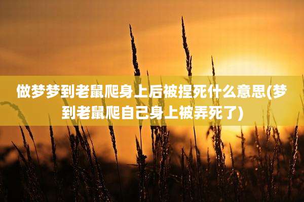 做梦梦到老鼠爬身上后被捏死什么意思(梦到老鼠爬自己身上被弄死了)