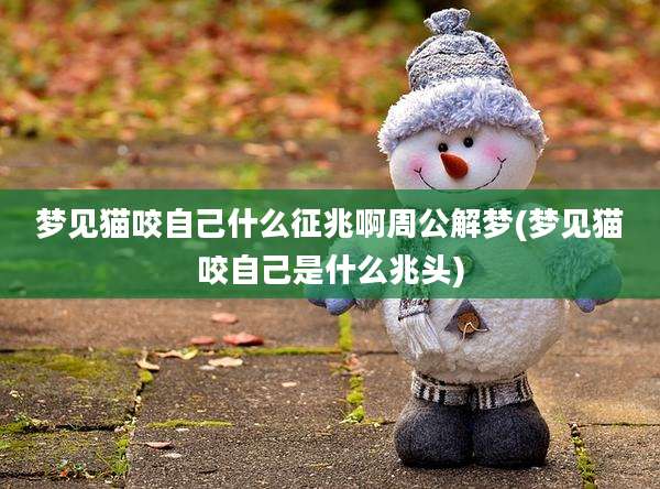 梦见猫咬自己什么征兆啊周公解梦(梦见猫咬自己是什么兆头)