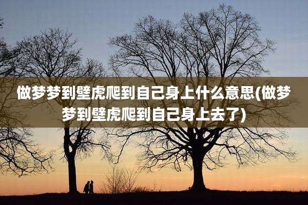 做梦梦到壁虎爬到自己身上什么意思(做梦梦到壁虎爬到自己身上去了)