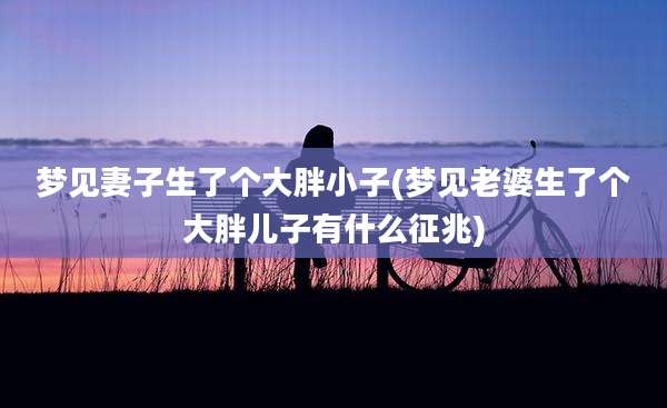 梦见妻子生了个大胖小子(梦见老婆生了个大胖儿子有什么征兆)