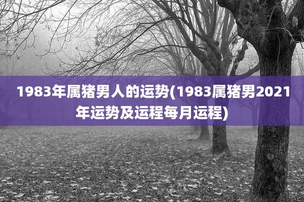 1983年属猪男人的运势(1983属猪男2021年运势及运程每月运程)