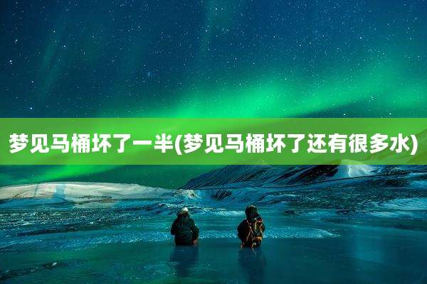 梦见马桶坏了一半(梦见马桶坏了还有很多水)