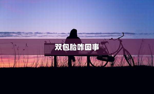双包胎咋回事