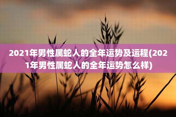 2021年男性属蛇人的全年运势及运程(2021年男性属蛇人的全年运势怎么样)