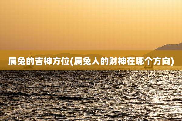 属兔的吉神方位(属兔人的财神在哪个方向)