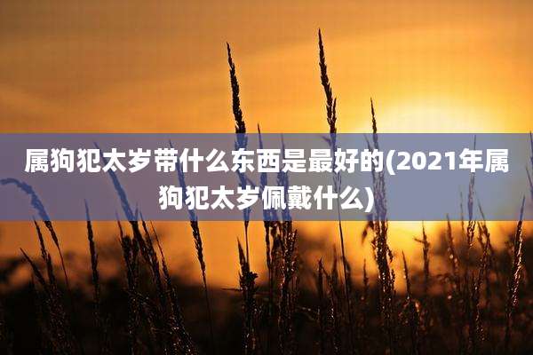 属狗犯太岁带什么东西是最好的(2021年属狗犯太岁佩戴什么)