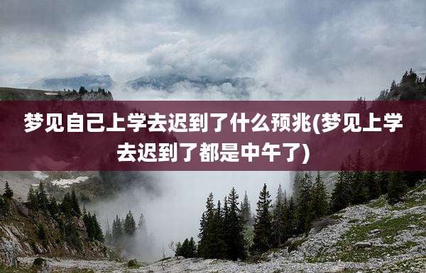 梦见自己上学去迟到了什么预兆(梦见上学去迟到了都是中午了)