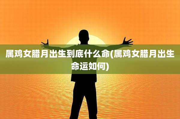 属鸡女腊月出生到底什么命(属鸡女腊月出生命运如何)