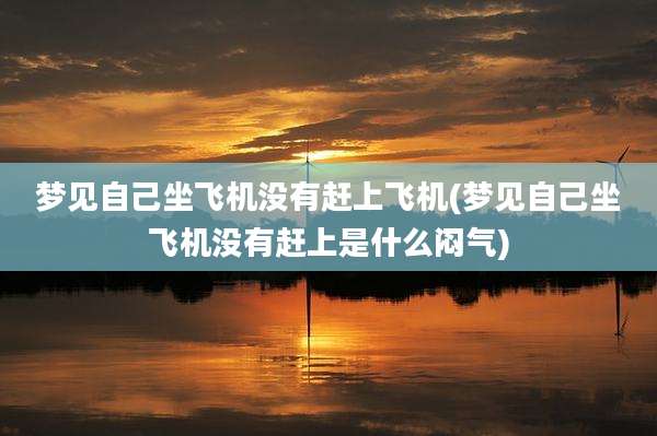 梦见自己坐飞机没有赶上飞机(梦见自己坐飞机没有赶上是什么闷气)