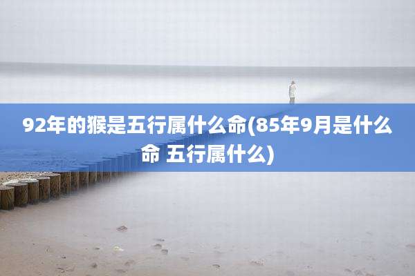 92年的猴是五行属什么命(85年9月是什么命 五行属什么)