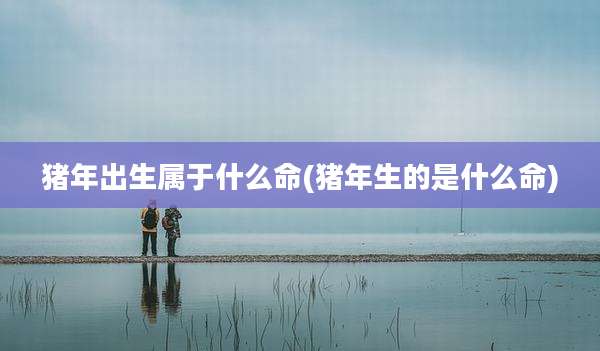猪年出生属于什么命(猪年生的是什么命)