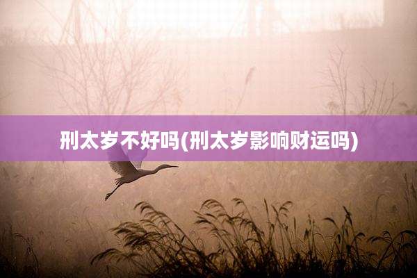刑太岁不好吗(刑太岁影响财运吗)