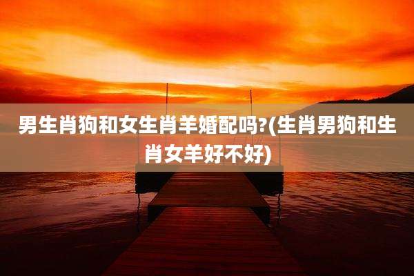 男生肖狗和女生肖羊婚配吗?(生肖男狗和生肖女羊好不好)