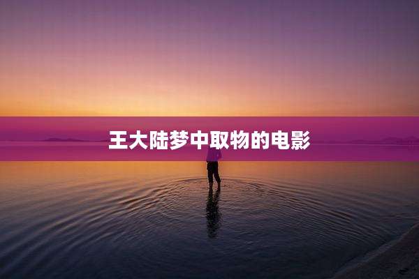 王大陆梦中取物的电影