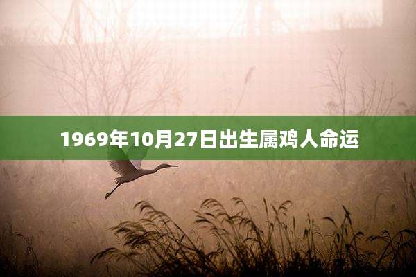 1969年10月27日出生属鸡人命运