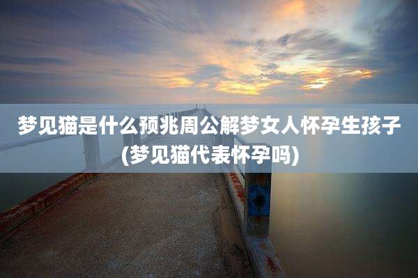 梦见猫是什么预兆周公解梦女人怀孕生孩子(梦见猫代表怀孕吗)