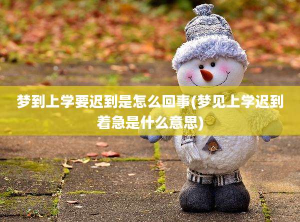 梦到上学要迟到是怎么回事(梦见上学迟到着急是什么意思)