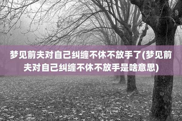 梦见前夫对自己纠缠不休不放手了(梦见前夫对自己纠缠不休不放手是啥意思)