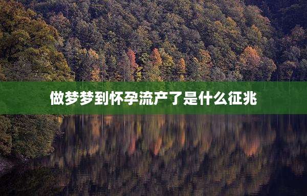 做梦梦到怀孕流产了是什么征兆