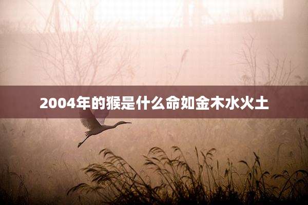 2004年的猴是什么命如金木水火土