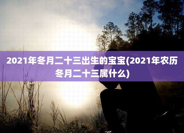 2021年冬月二十三出生的宝宝(2021年农历冬月二十三属什么)