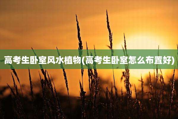 高考生卧室风水植物(高考生卧室怎么布置好)