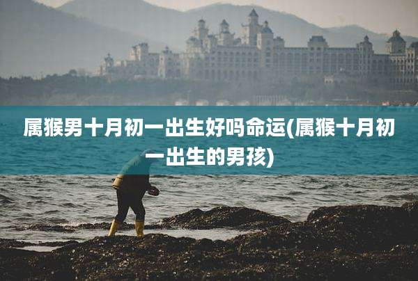 属猴男十月初一出生好吗命运(属猴十月初一出生的男孩)