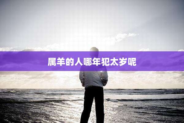 属羊的人哪年犯太岁呢