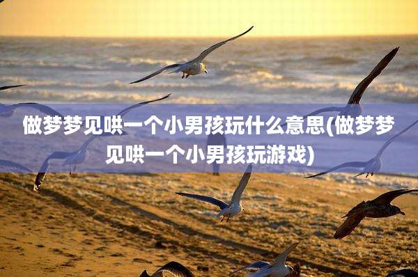 做梦梦见哄一个小男孩玩什么意思(做梦梦见哄一个小男孩玩游戏)