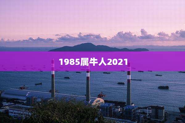 1985属牛人2021