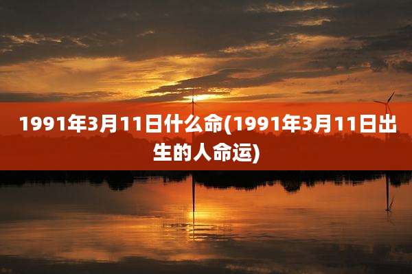 1991年3月11日什么命(1991年3月11日出生的人命运)