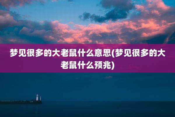 梦见很多的大老鼠什么意思(梦见很多的大老鼠什么预兆)
