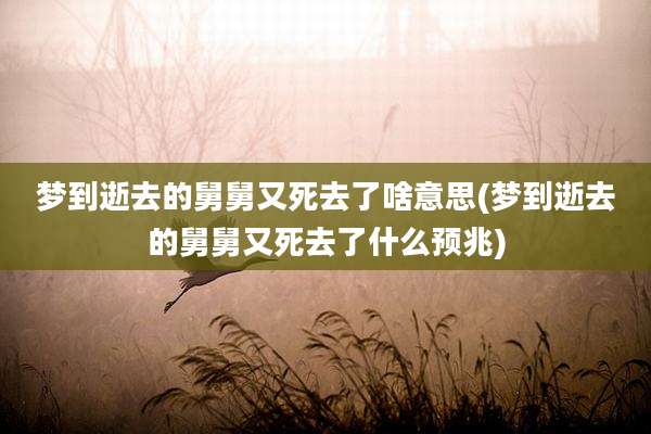 梦到逝去的舅舅又死去了啥意思(梦到逝去的舅舅又死去了什么预兆)