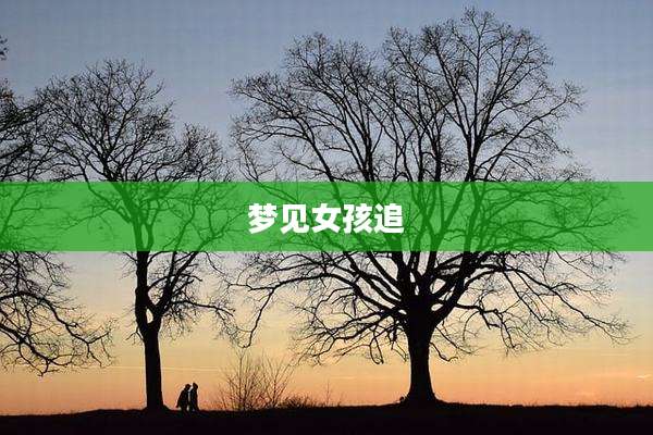 梦见女孩追
