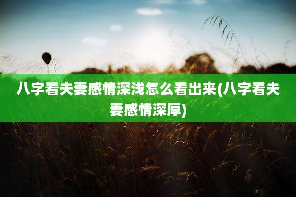 八字看夫妻感情深浅怎么看出来(八字看夫妻感情深厚)