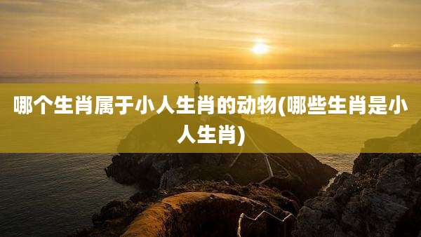 哪个生肖属于小人生肖的动物(哪些生肖是小人生肖)