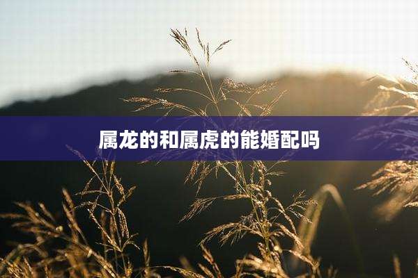 属龙的和属虎的能婚配吗