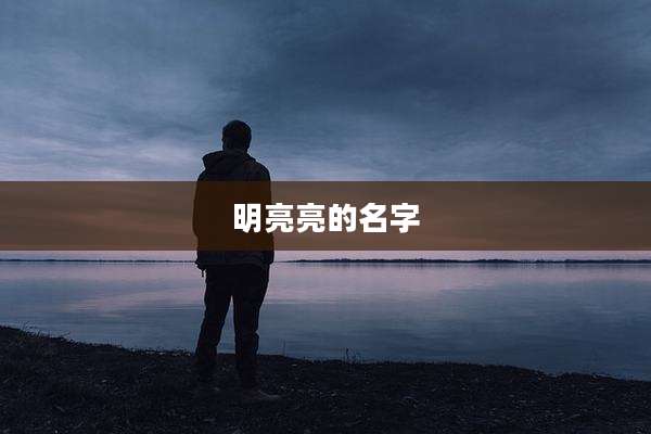 明亮亮的名字