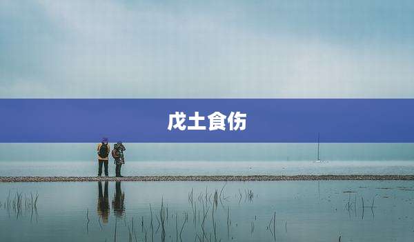 戊土食伤