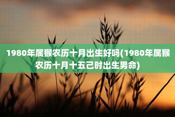 1980年属猴农历十月出生好吗(1980年属猴农历十月十五己时出生男命)