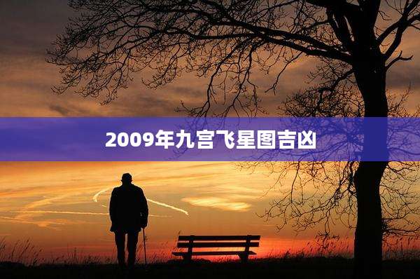 2009年九宫飞星图吉凶