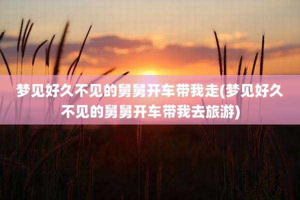 梦见好久不见的舅舅开车带我走(梦见好久不见的舅舅开车带我去旅游)