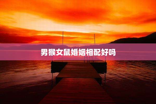 男猴女鼠婚姻相配好吗