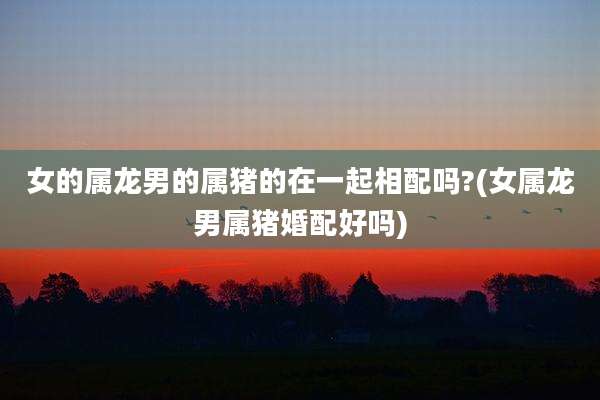 女的属龙男的属猪的在一起相配吗?(女属龙男属猪婚配好吗)